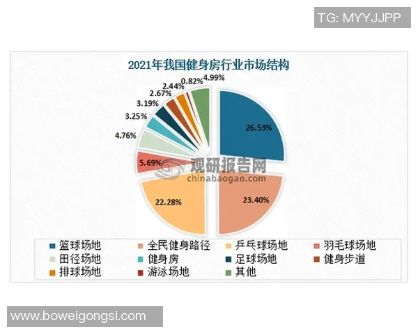 杭州篮球队技术分析与战术创新的深度探讨与展望